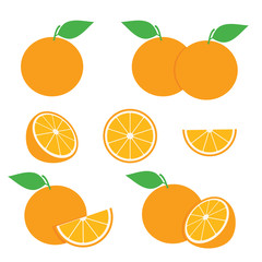 Orange Fruit Vector Set Design Illustration