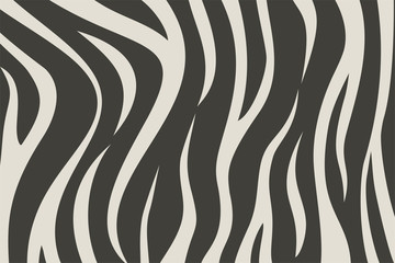 Obraz na płótnie Canvas wild zebra texture