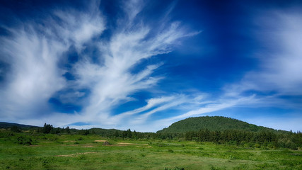 Obraz na płótnie Canvas 파란하늘과 구름과 오름이 있는 제주
