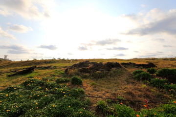 Naklejka premium 언덕과 하늘이 보이는 풍경