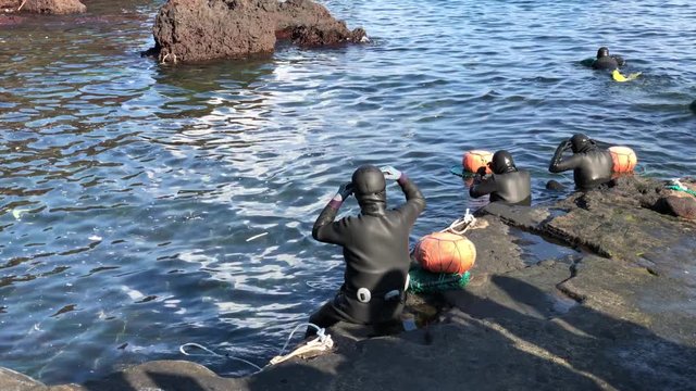 Traditional Jeju island women-divers, also called as Haenyeo, collect mollusks in the sea
