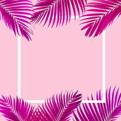 Fototapeta na wymiar Natural pink palm leaf with white frame on pastel pink background, nature background