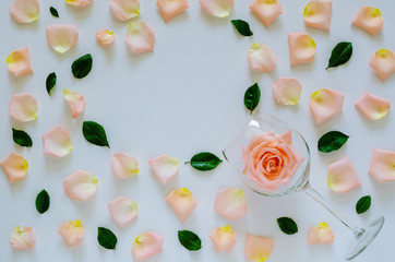 Pink rose in wine glass with its petals and leaves on white background and heart shape space for text for Valentine’s day. Flat lay top view background concept.