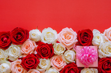 Colorful roses put on red background with pink gift box for Valentine’s day. Flat lay background concept.
