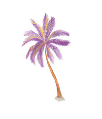 Watercolor painting a stylish palm tree. Violet color. Isolated on white