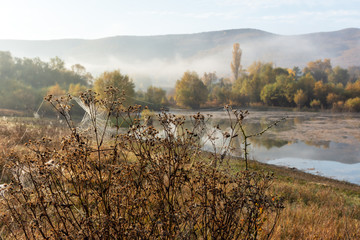 Autumn misty landscape with a lake