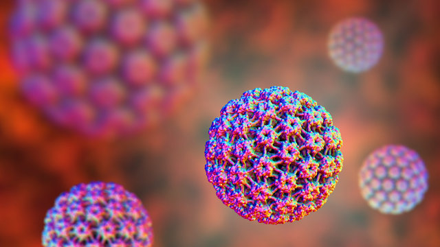 Human Papillomavirus, A Virus Which Causes Warts Located Mainly On Hands And Feet, Some Strains Infect Genitals And Can Cause Cervical Cancer, 3D Illustration