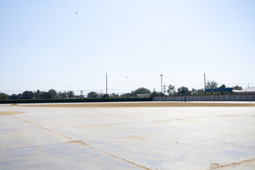 Paddy sun-dried on the ground to reduce moisture. Rice mill in thailand.