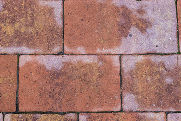 Street flooring made of stone. Stones of all kinds grow in colors and shapes. Abstract photography.