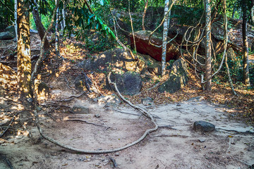 Kbal Spean Jungle Walk national park in Cambodia