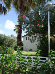 Mediterranean house with palm trees and blooming oleander