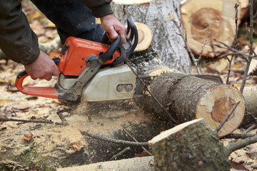 chainsaw in a hands