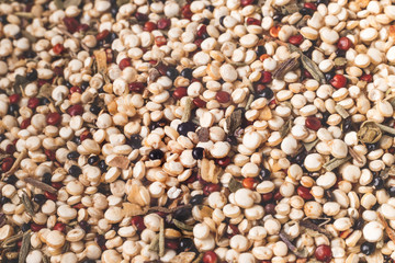 Uncooked quinoa grains - close-up, can be used as a background