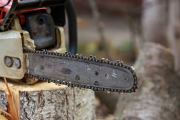 chainsaw on a stump