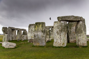 Stonehenge in a rainy day with dark clouds and a black bird