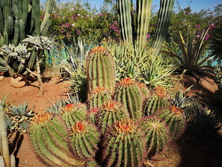 Anima garden by Andre Heller, Marrakech, Morocco