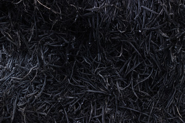 Gray background ashes, burned plants, abstract texture of coals and ashes. Macro shot