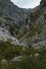 Fototapeta na wymiar Valley of Rio Cares at hiking track Ruta del Cares from Poncebos to Cain in Picos de Europa in Asturia,Spain,Europe