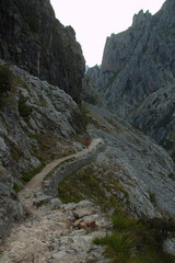 Hiking track Ruta del Cares from Poncebos to Cain in Picos de Europa in Asturia,Spain,Europe