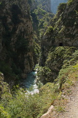 Valley of Rio Cares at hiking track Ruta del Cares from Poncebos to Cain in Picos de Europa in Asturia,Spain,Europe