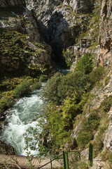 Fototapeta premium Valley of Rio Cares at hiking track Ruta del Cares from Poncebos to Cain in Picos de Europa in Asturia,Spain,Europe