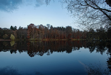 Herbst am Steinbrücker Teich am Oberwaldhaus in Darmstadt in Hessen, Deutschland mit sich spiegelnden Bäumen im Wasser