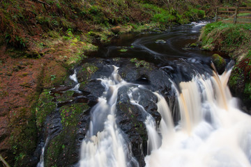 forest waterfall and rocks covered with moss Northen Ireland