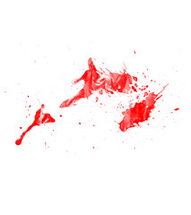 Blood splatter on white. Blood splash brush background. Blood brush illustration