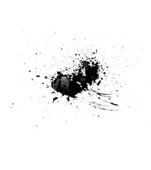Beautiful black ink splash isolated on white background
