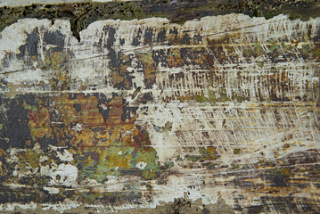 Colorful painted old rustic shabby wood texture and background