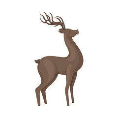 Brown Deer Animal in Standing Pose Vector Illustration