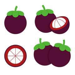Mangosteen Vector Design Illustration