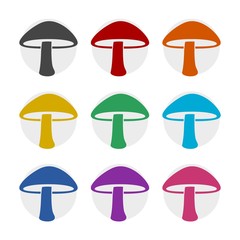 Mushroom color icon set isolated on white background