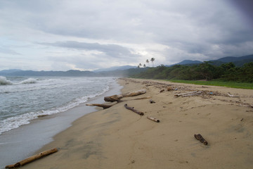 Walking in la Sabana, Venezuela