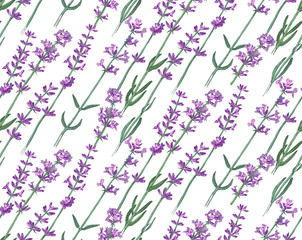 Seamless pattern with hand drawn lavender flowers