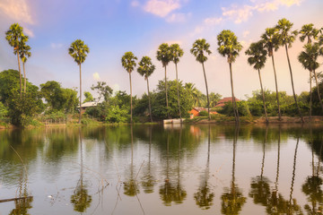 Rural Indian village pond with mud huts and palm trees at sunset