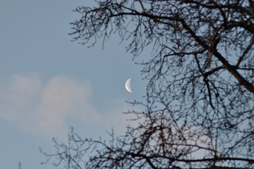 The Moon in the morning sky in December