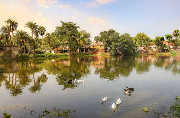 Rural India landscape with view mud huts and palm trees and ducks swimming in a village pond at sunset. Photograph shot at a remote tribal village at Bolpur West Bengal