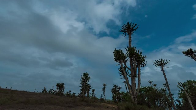 Night Time Lapse Cape S&atilde;o Braz, Angola, Africa