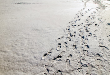 Human footprints on a snowy field.