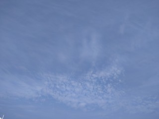 Skies