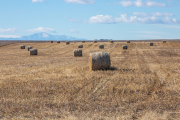 scenic farmland 