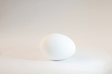 Chicken egg isolated on white background. Close-up of one chicken egg isolated on white background. White Egg. High key