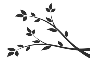 Silhouette of a branch with leaves. Young flowering tree. Sapling.