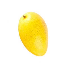 mangos or yellow mangos on a background new.