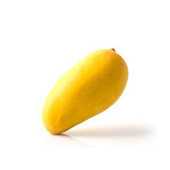 mangos or yellow mangos on a background new.