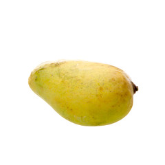 mangos or yellow mangos on a background new.