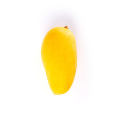 mangos or yellow mangos on a background new.