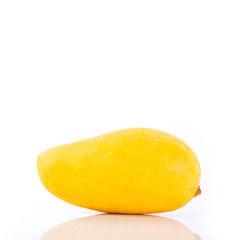 mangos or yellow mangos on a background new.