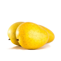 mangos or yellow mangos on a background new.